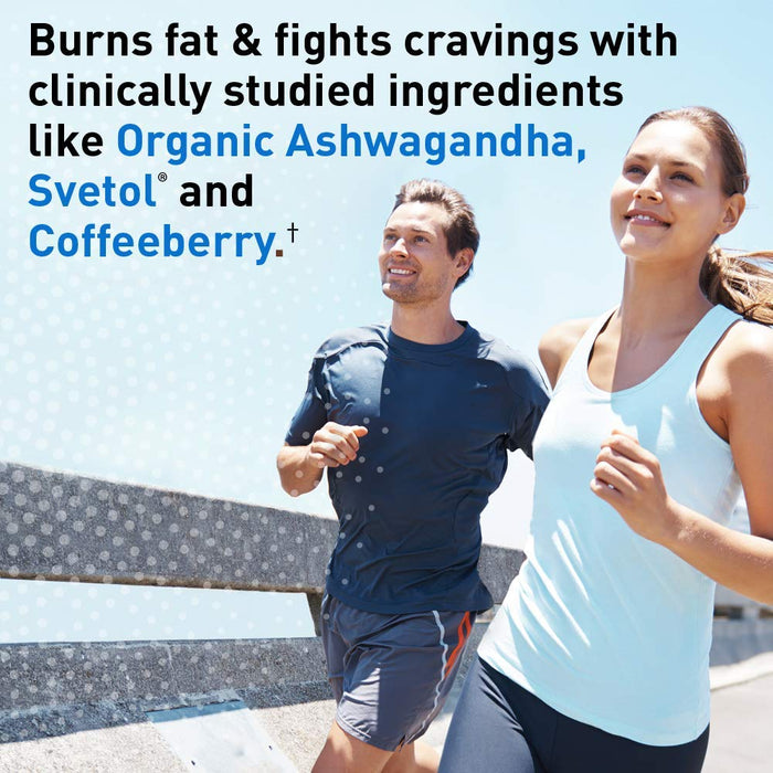 Garden of Life Dr. Formulated Keto Fit, Vanilla - 355g - Whey Proteins at MySupplementShop by Garden of Life