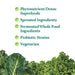 Garden of Life Perfect Food Super Green Formula, Powder - 300g - Health Foods at MySupplementShop by Garden of Life