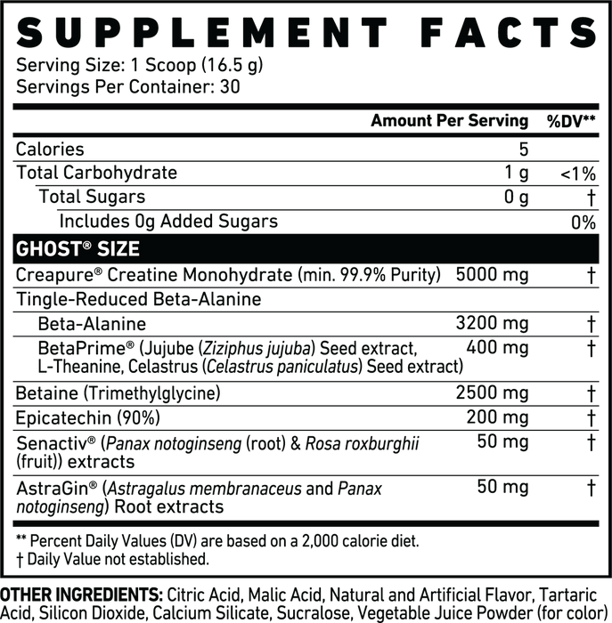 Ghost Size v2 30 Servings Muscle Growth and Strength Building Creatine Supplement - Creatine at MySupplementShop by Ghost