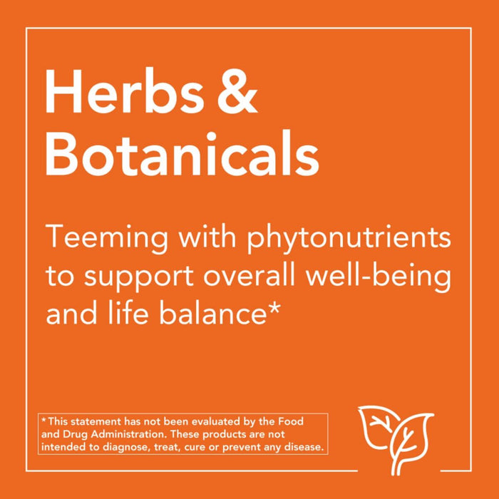 NOW Foods Panax Ginseng Extract 500 mg 100 Veg Capsules - Health and Wellbeing at MySupplementShop by NOW Foods