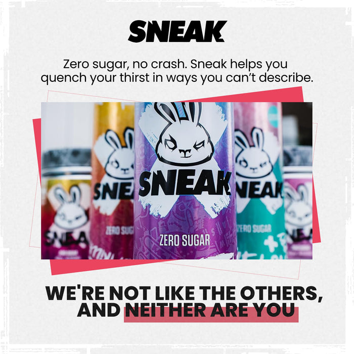 SNEAK Energy 12x500ml