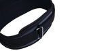 Schiek Model CF3006 Power Lifting Belt | Black