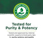 Swanson Red Raspberry Leaves 380 mg 100 Capsules - Digestive Health at MySupplementShop by Swanson