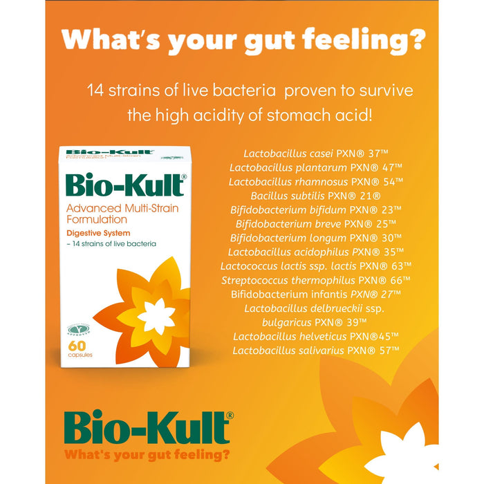 Bio-Kult Advanced Multi-Strain Formula 120 Capsules - Health and Wellbeing at MySupplementShop by Bio-Kult